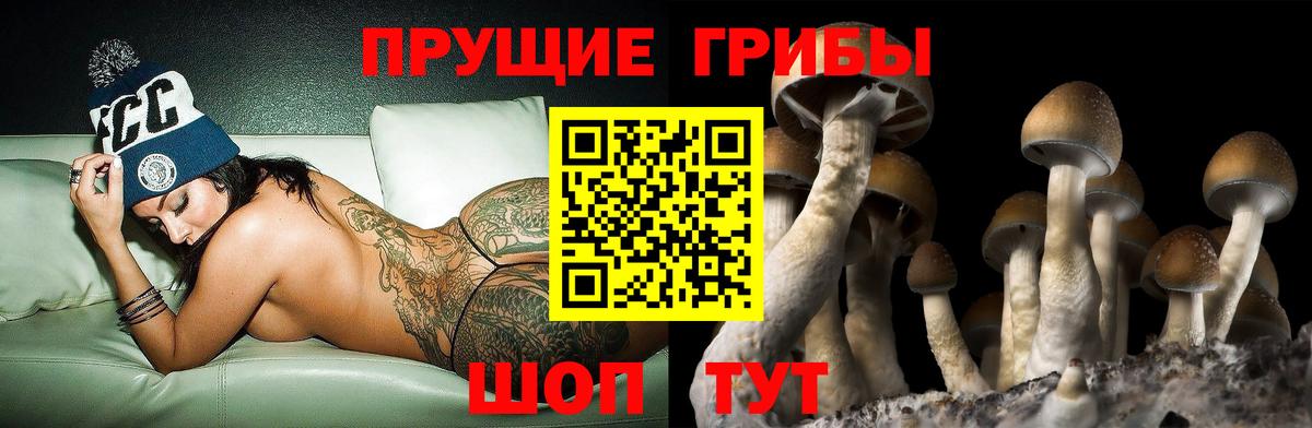 Псилоцибиновые грибы мицелий Пыть-Ях